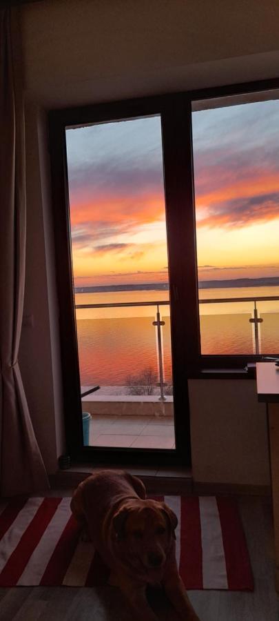 Bella Vista Summerland Mamaia Eksteriør bilde